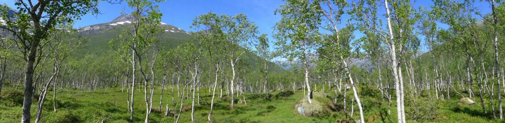 Alpinist Norwegen 2014 @ Helmut Gargitter