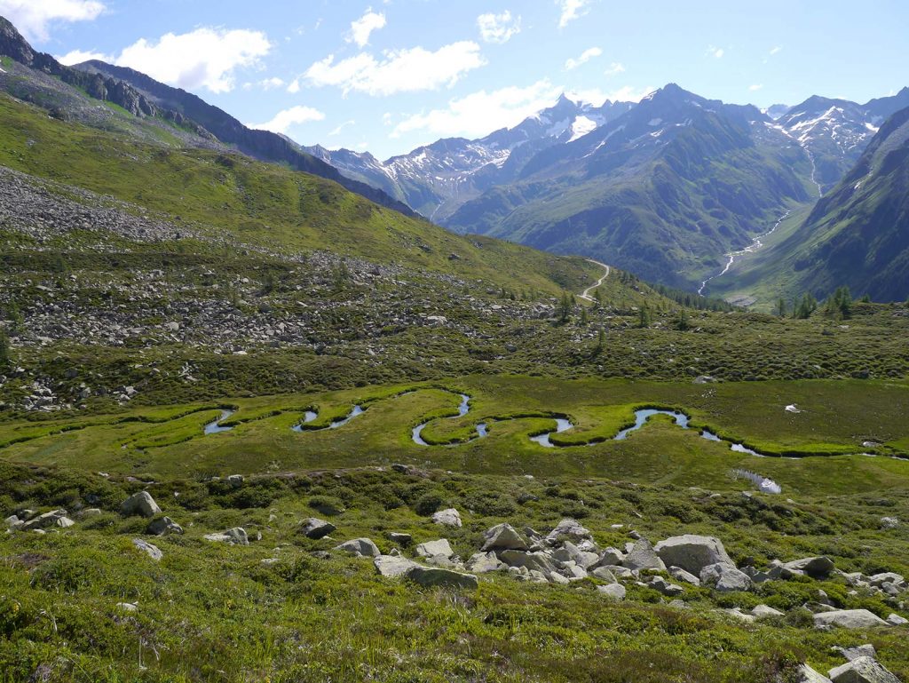 Biotop Wieser Werfa Ahrntal © Leichter Karin I AVS
