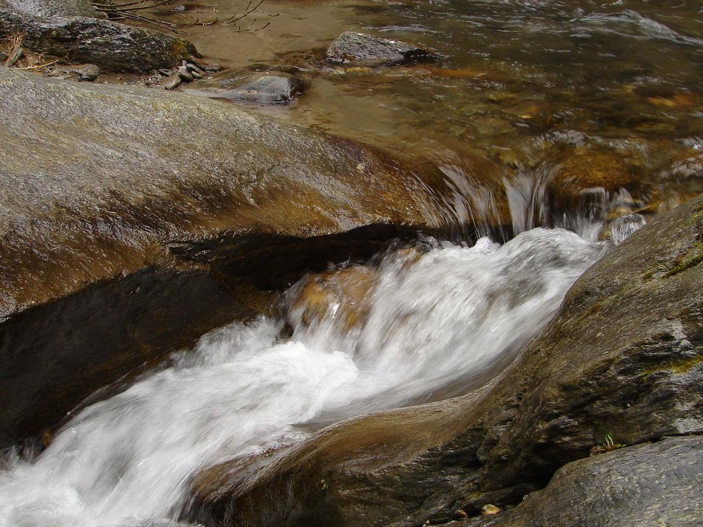 Gewässer Schnalsbach © Bliem Klaus I AVS