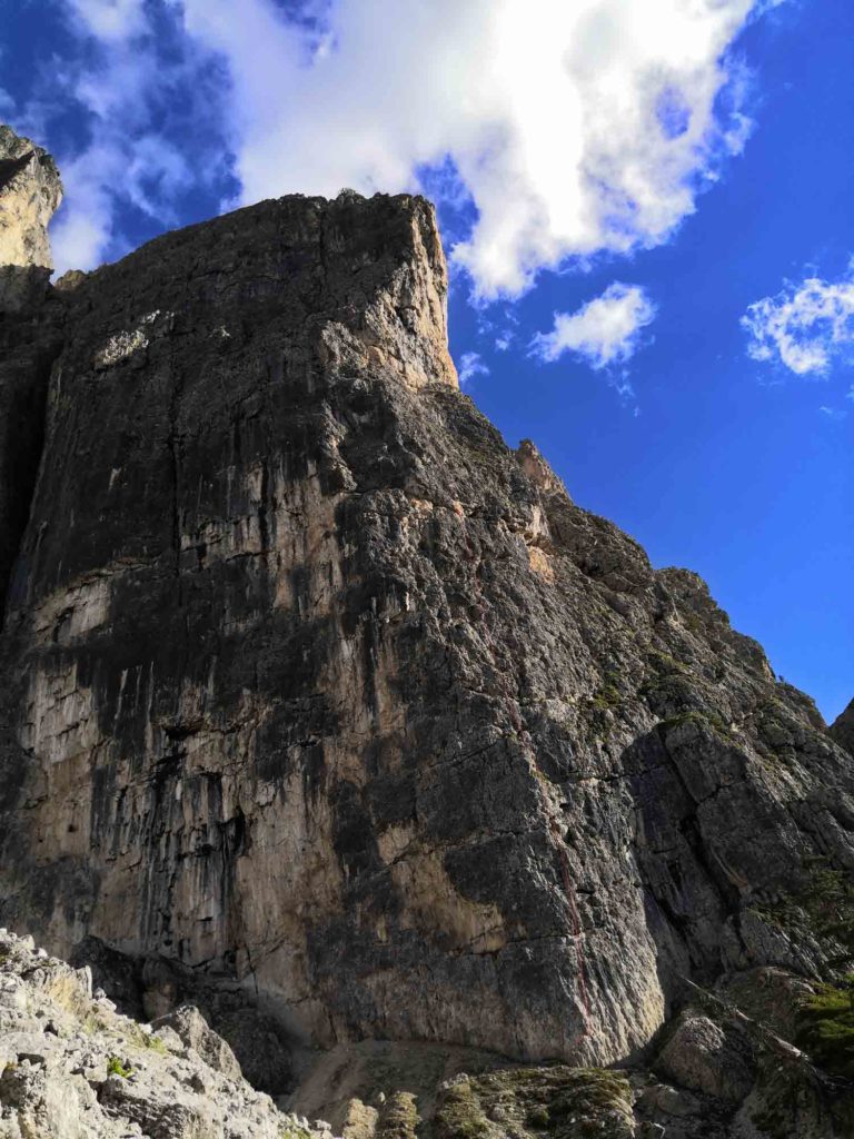 COVID-19 Wand © Matthias Irsara Christian Dorigo