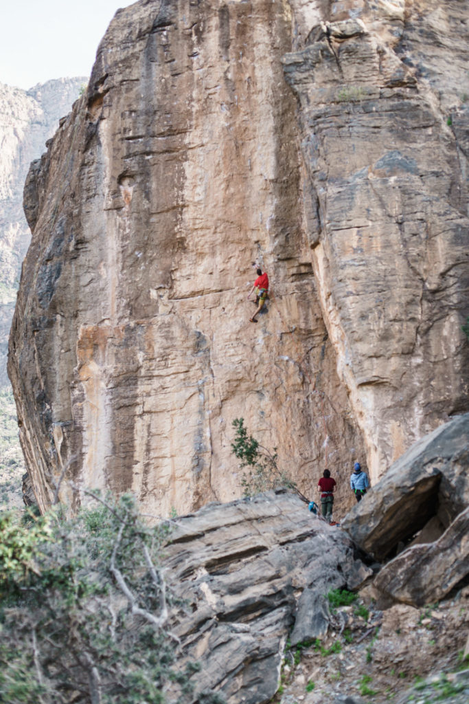 Oman @Martin Dejori l AVS