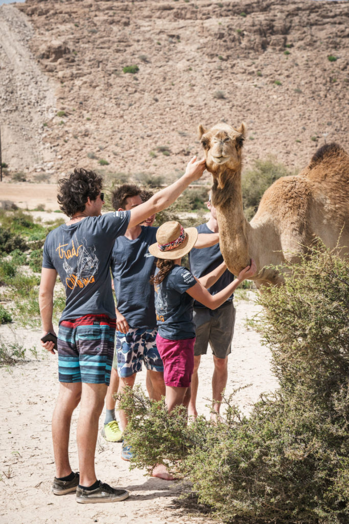 Oman @Martin Dejori l AVS