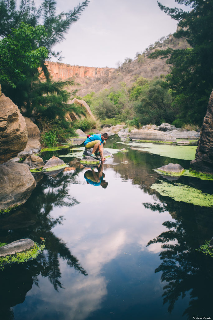 Südafrika @ Plank Stefan AVS