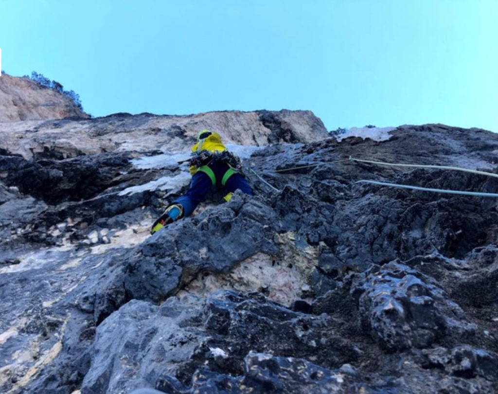 Topo Barba Bianca © Christoph Hainz