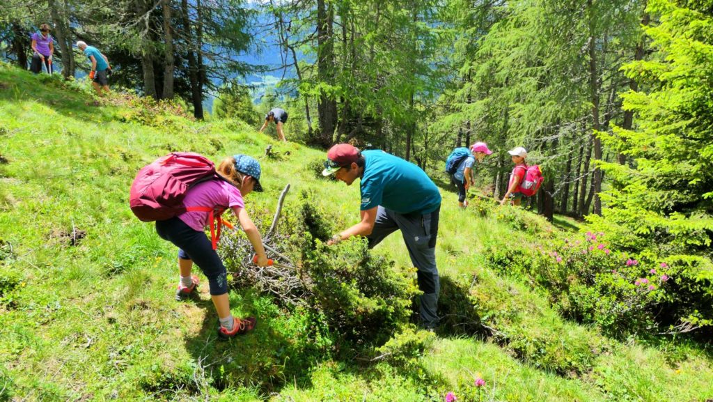 Freiwillige Helfer I Almpflegeaktion I ©Martin Oberhofer I AVS