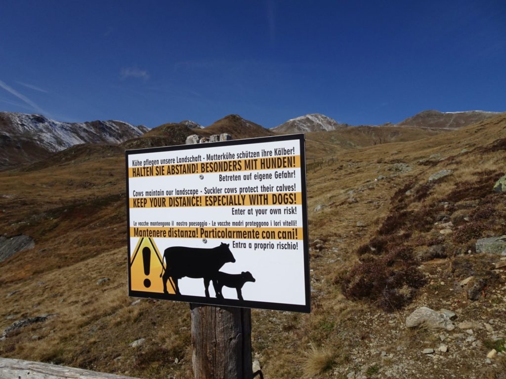 Hinweisschild Mutterkuhhaltung I(c)Judith Egger