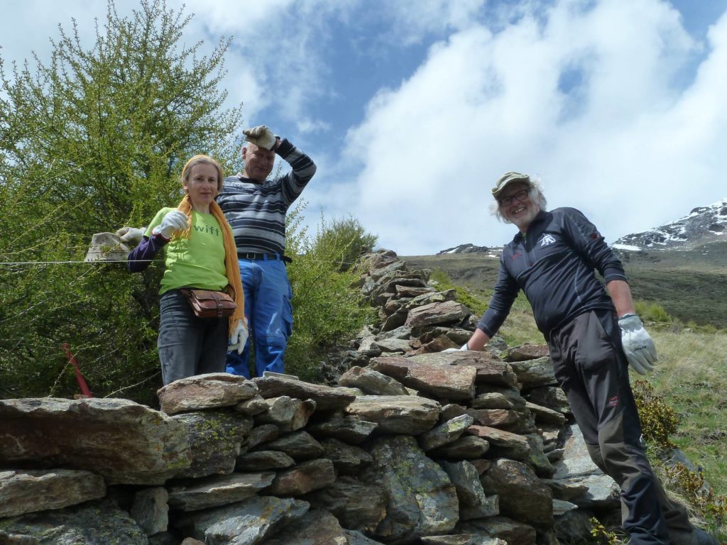 Tanas Lesesteinmauer I Almpflegeaktion I ©Anna Pichler I AVS