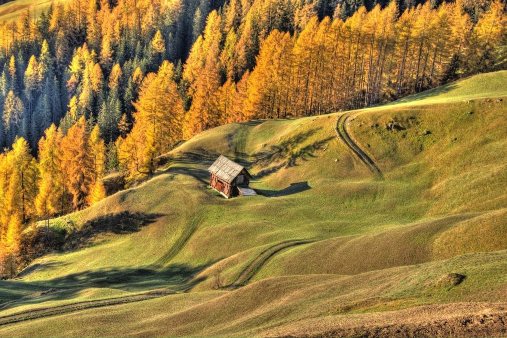 Goldener Lärchenwald in Lungiarü I ©Madem I Bergsteigerdörfer