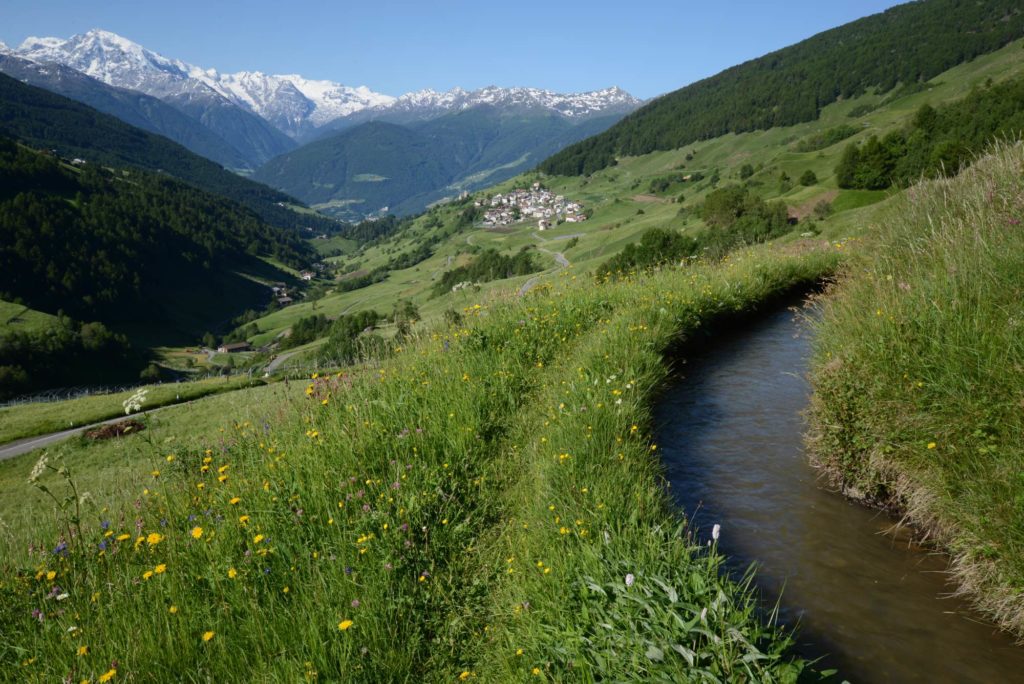 Bergsteigerdorf Matsch mit Ackerwaal und Ortler I ©Gianni Bodini I Bergsteigerdörfer