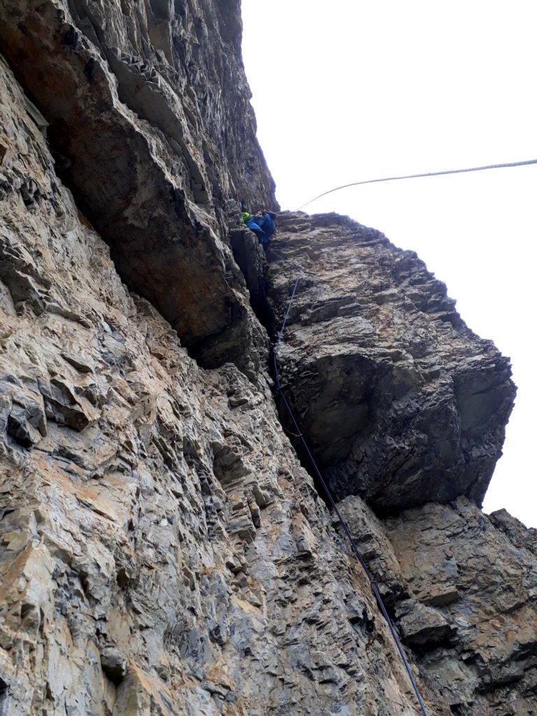 Megaschmurz © Felix Erlacher