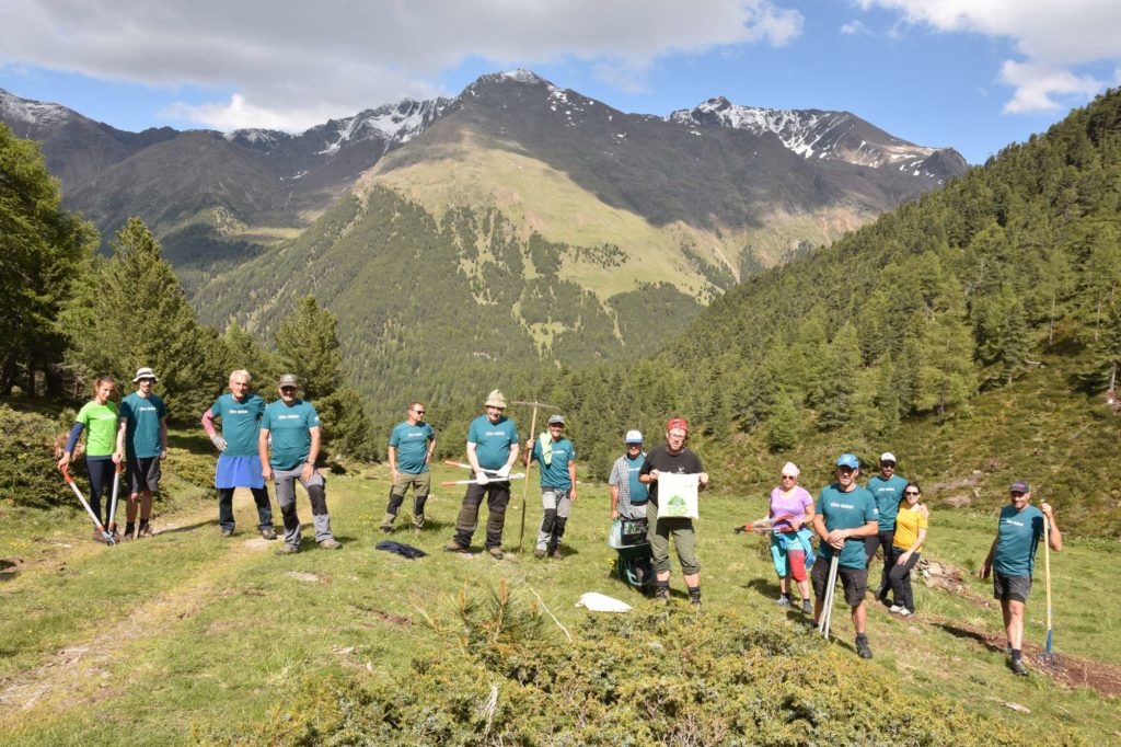 Schlandraun 2020 I Almpflegeaktion I ©Klaus Bliem I AVS