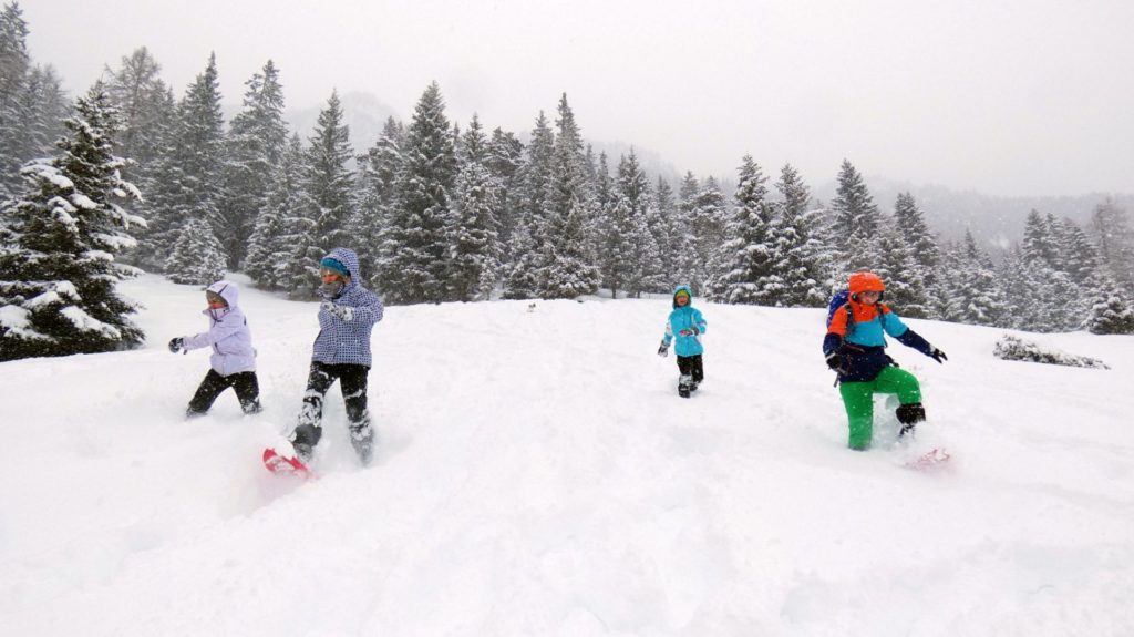 Schneeschuhspiele I @AVS_Jugend_St.Pauls I AVS