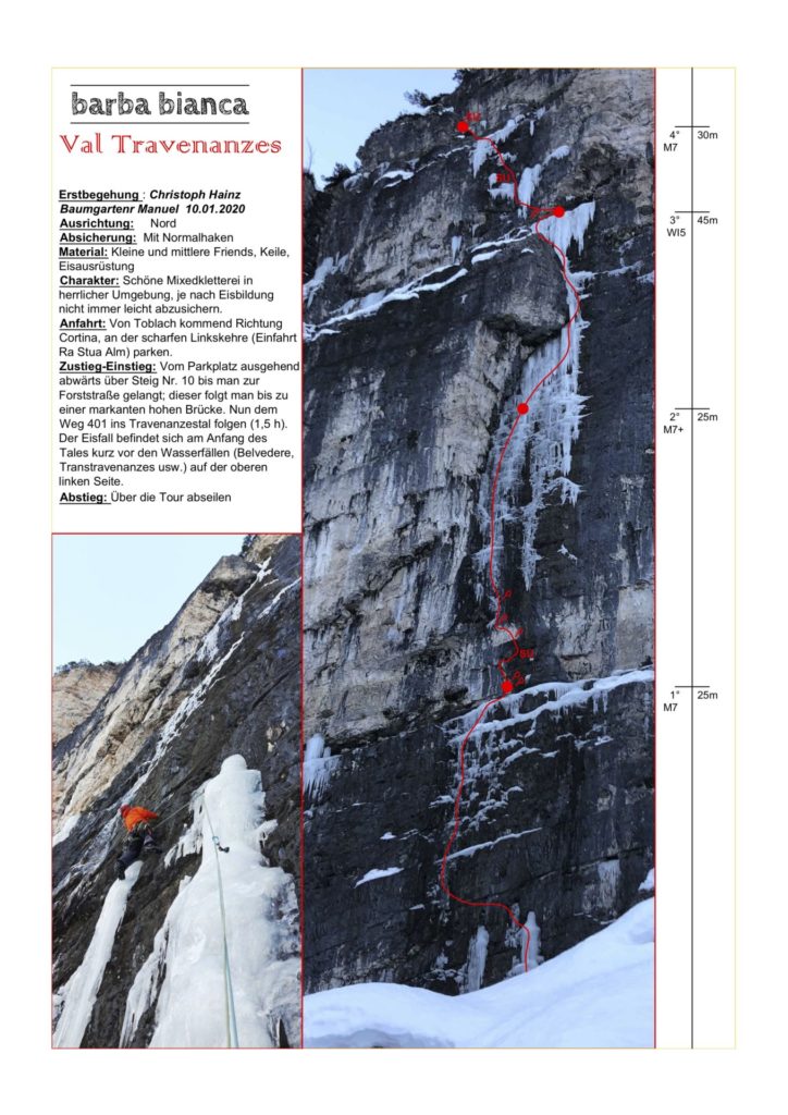 Topo Barba Bianca © Christoph Hainz