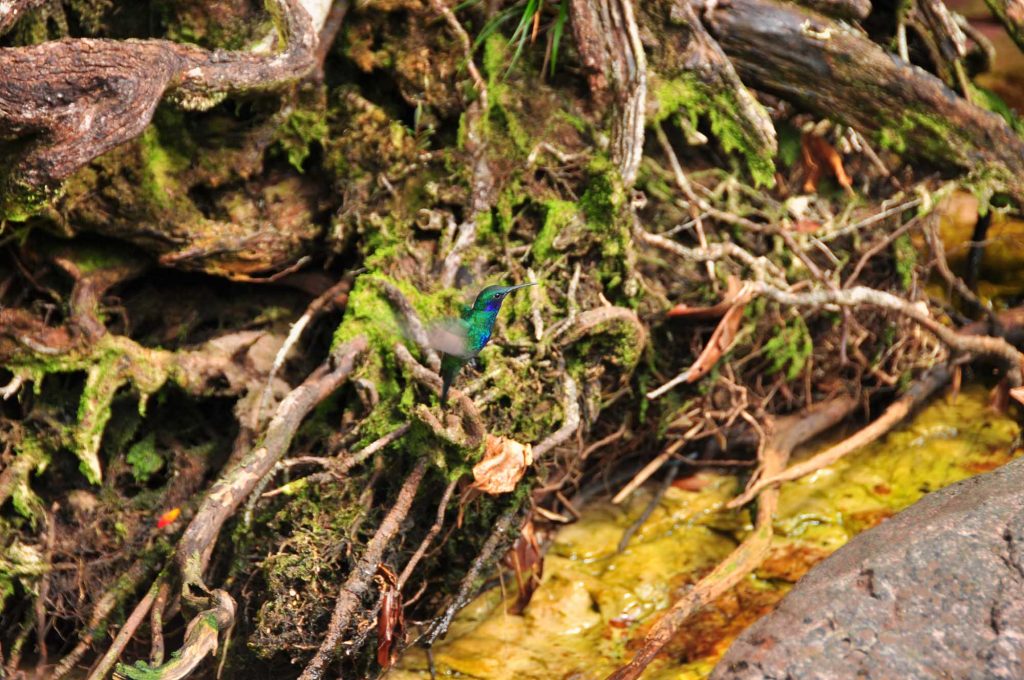 Venezuela @ Alpinist