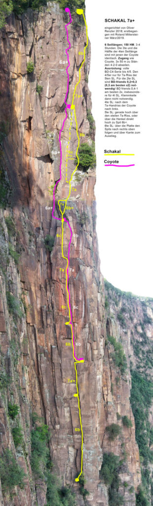 Schakal © Oliver Renzler