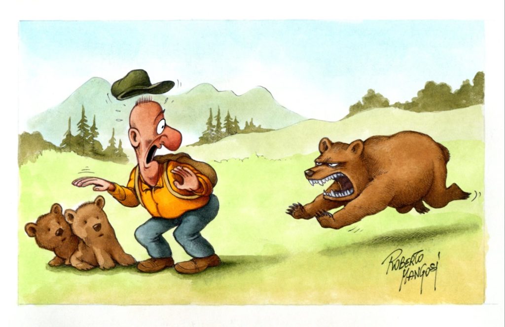 Bärenmutter verteidigt Junge I(c)Roberto Mangosi I AVS