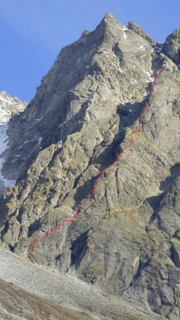 Herbstzeitlose © Manuel Gietl