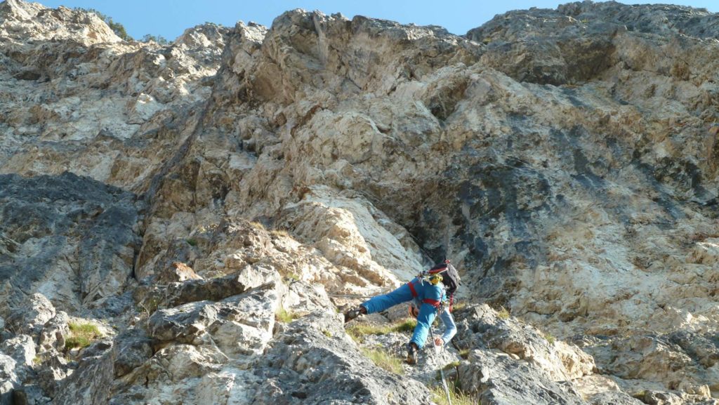 Hons im Glück © Manuel Stuflesser