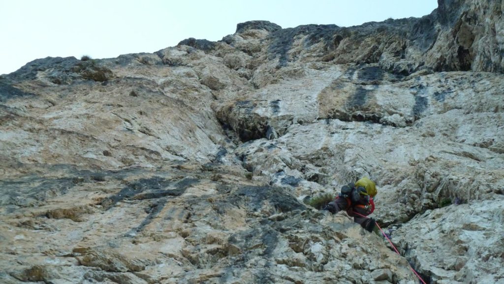 Hons im Glück © Manuel Stuflesser