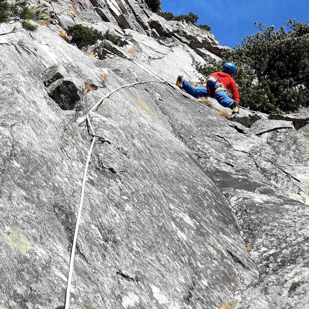 Mauerläufer © Manuel Gietl