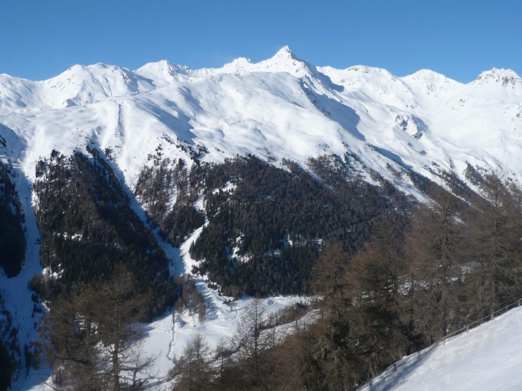 Schneise am Kälberberg in Schlinig I(c)Klaus Bliem