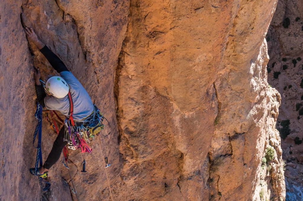 Taraxa © Luca de Giorgi