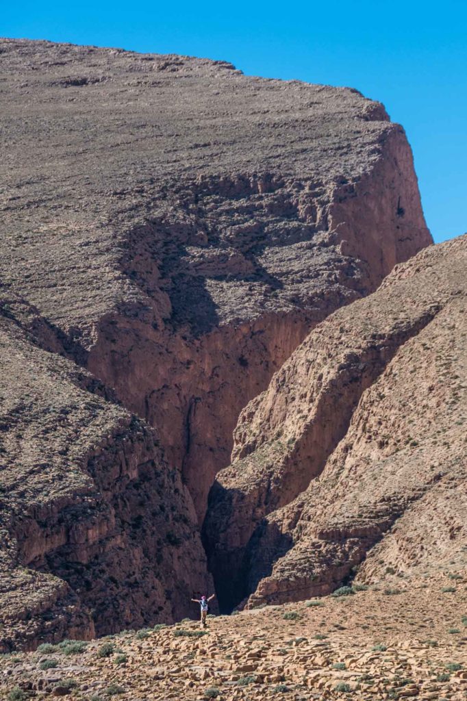 Taraxa © Luca de Giorgi