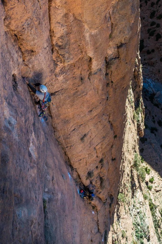 Taraxa © Luca de Giorgi