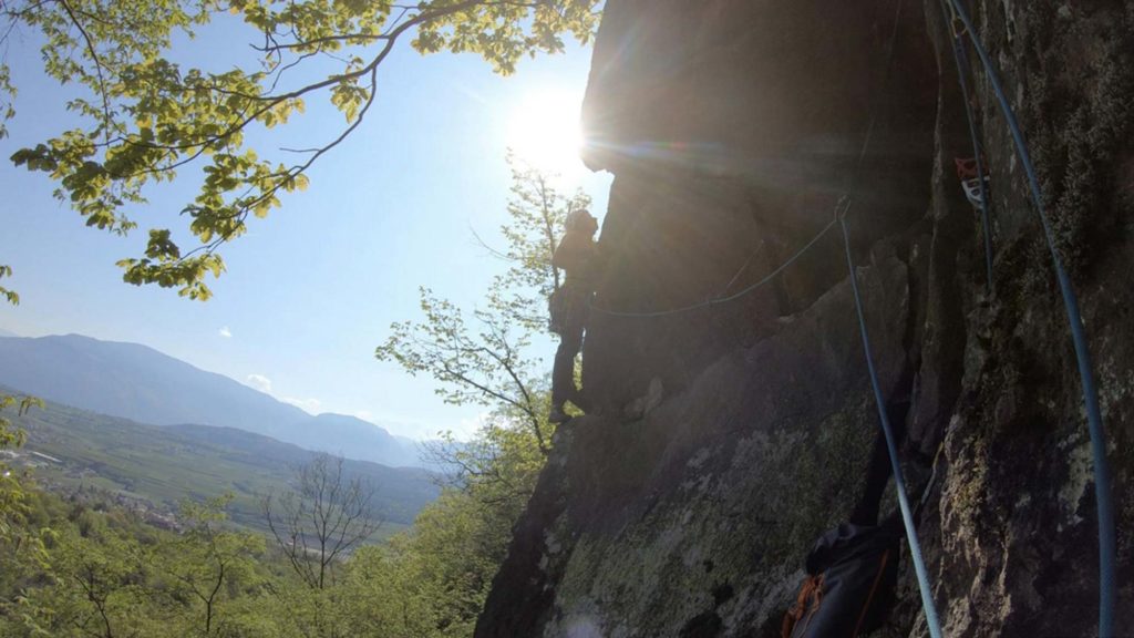 The clean nose © Florian und Martin Riegler