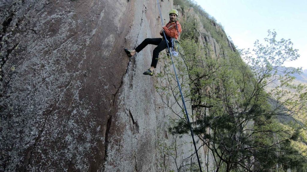 The clean nose © Florian und Martin Riegler