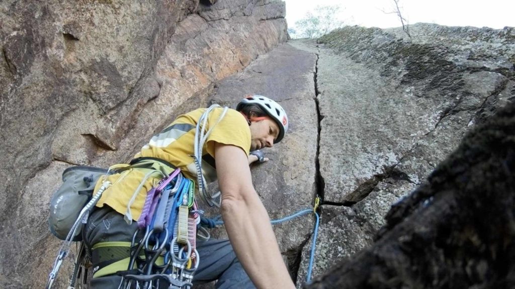 The clean nose © Florian und Martin Riegler