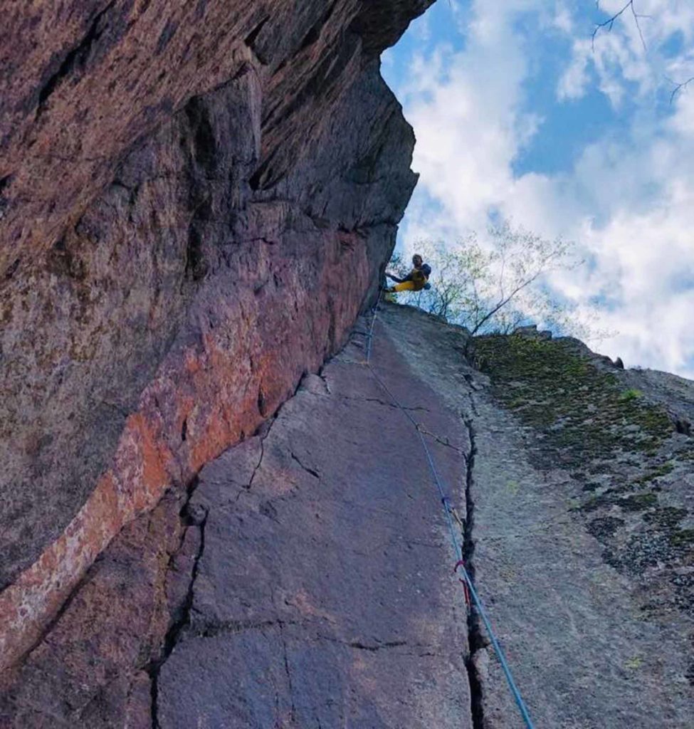 The clean nose © Florian und Martin Riegler