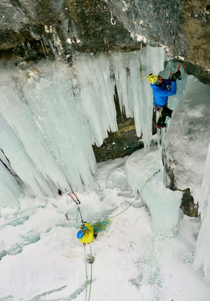 Tigermaul © Im Duck Young