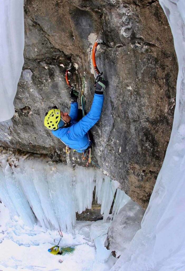 Tigermaul © Im Duck Young