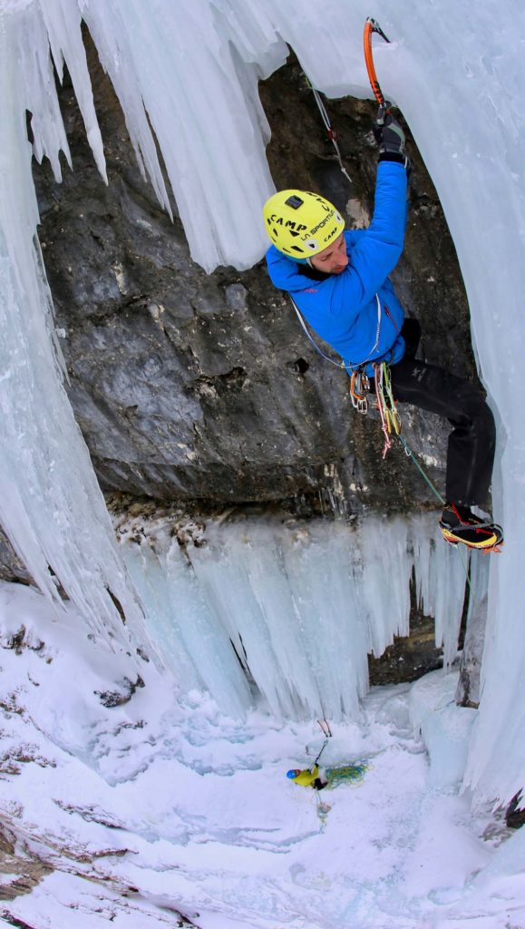 Tigermaul © Im Duck Young