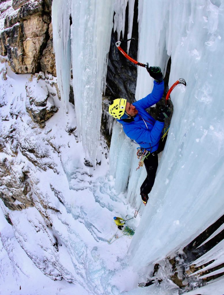 Tigermaul © Im Duck Young