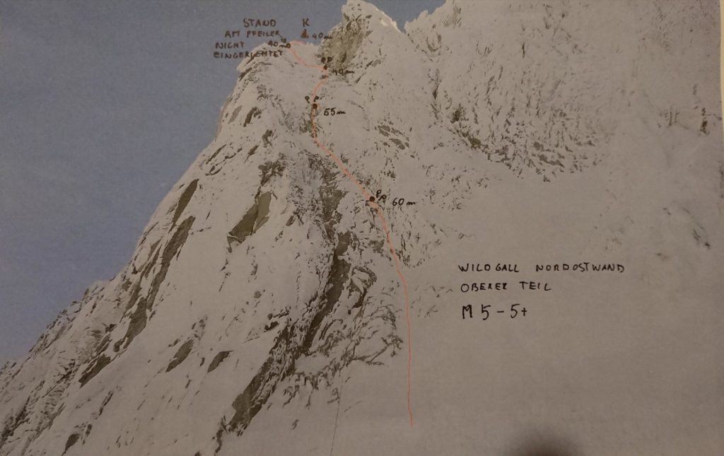 Vogelwild © Lukas Troi, Martin Stolzlechner und Felix Tschurtschenthaler