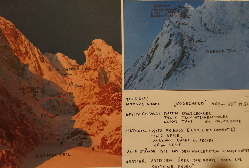 Vogelwild © Lukas Troi, Martin Stolzlechner und Felix Tschurtschenthaler