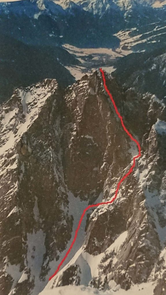 Vogelwild © Lukas Troi, Martin Stolzlechner und Felix Tschurtschenthaler