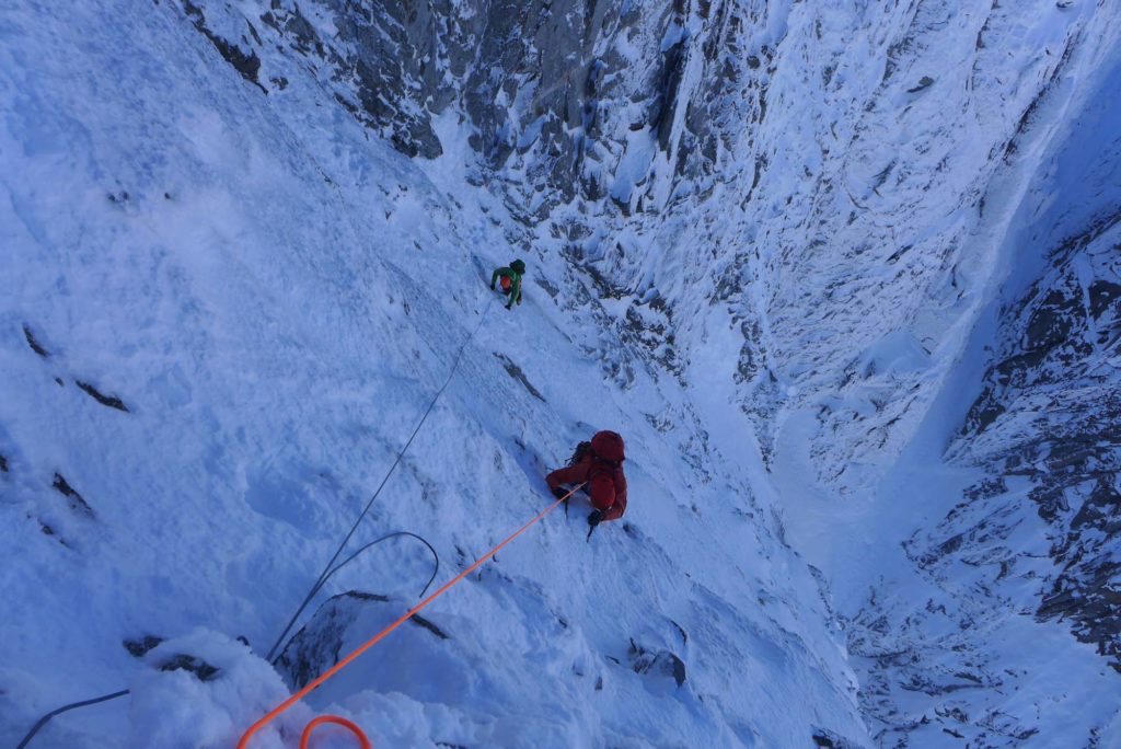 Vogelwild © Lukas Troi, Martin Stolzlechner und Felix Tschurtschenthaler