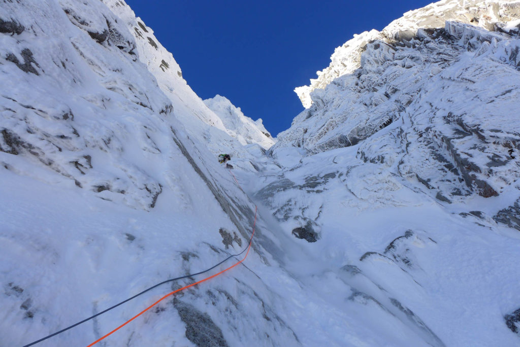 Vogelwild © Lukas Troi, Martin Stolzlechner und Felix Tschurtschenthaler