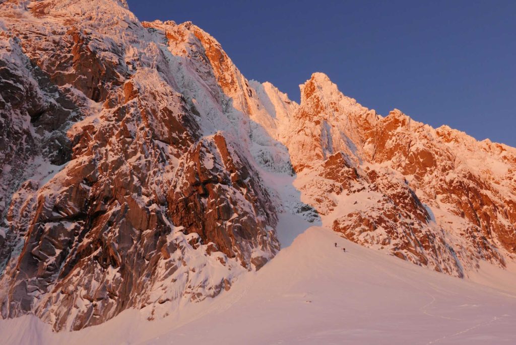 Vogelwild © Lukas Troi, Martin Stolzlechner und Felix Tschurtschenthaler