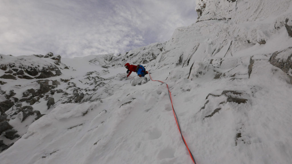 Vogelwild © Lukas Troi, Martin Stolzlechner und Felix Tschurtschenthaler