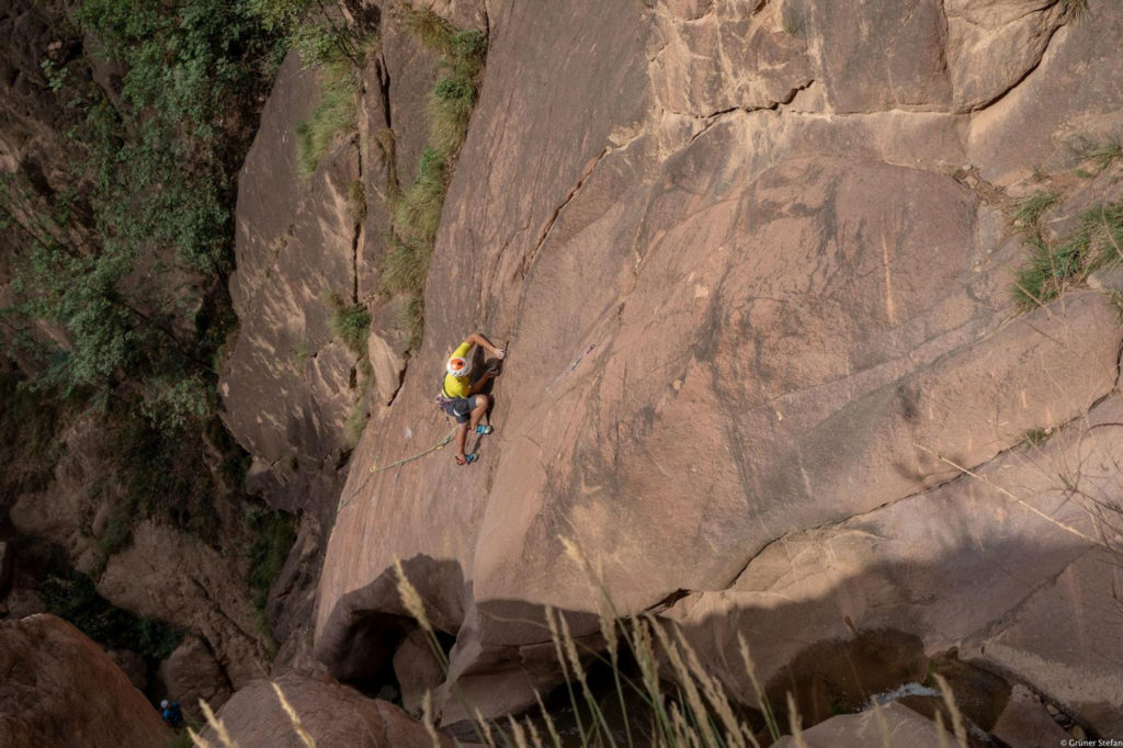 Wasserläufer © Daniel Ladurner