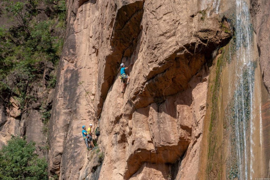 Wasserläufer © Daniel Ladurner