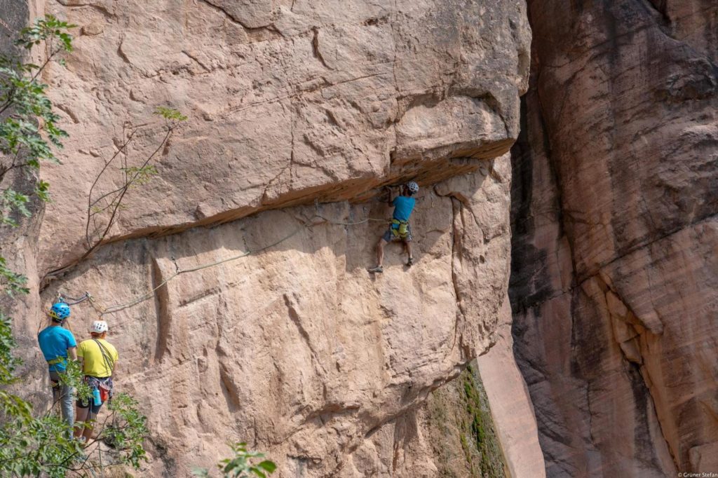 Wasserläufer © Daniel Ladurner