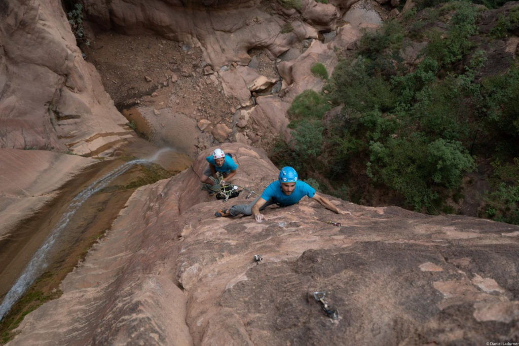 Wasserläufer © Daniel Ladurner