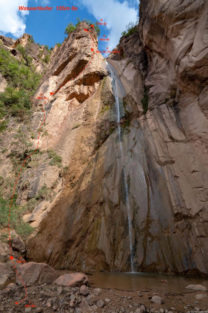 Wasserläufer © Daniel Ladurner