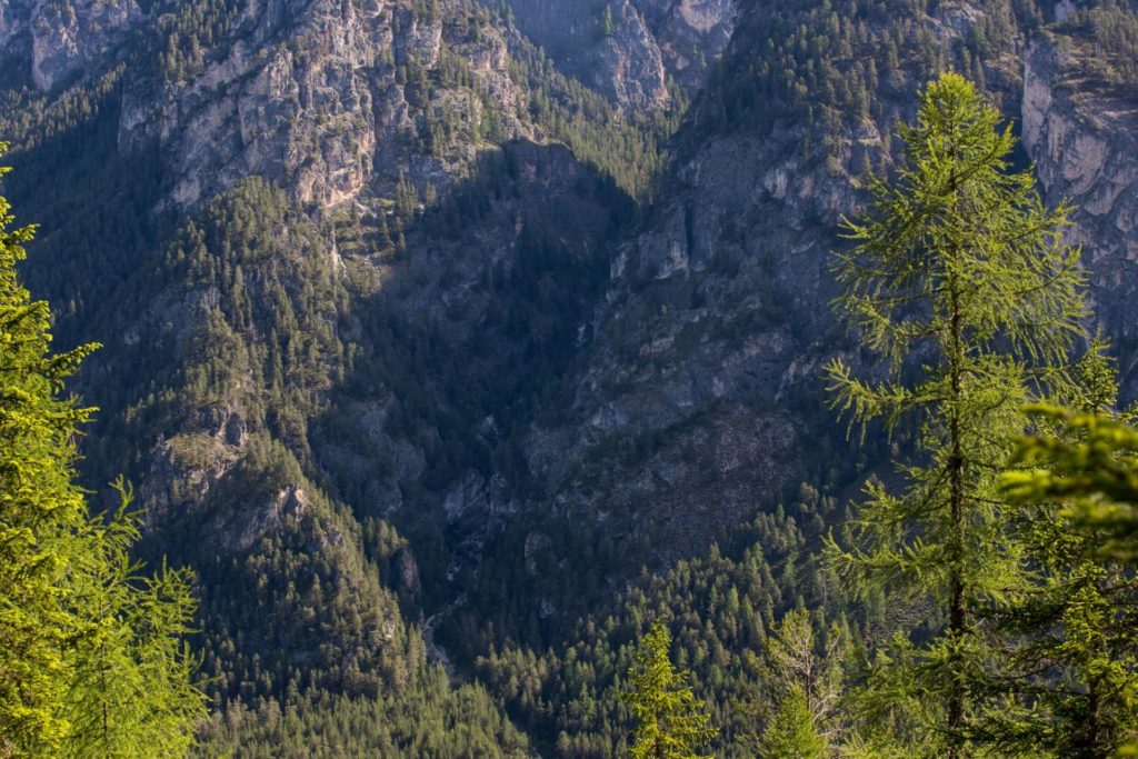 Klettergarten Ciaslins - Detail I(c)Sepp Hackhofer