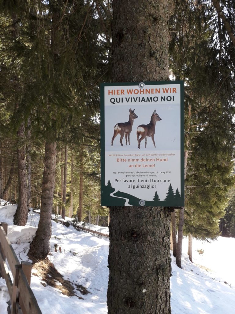 Kampagnenschild "Hier wohnen wir" (c)Judith Egger